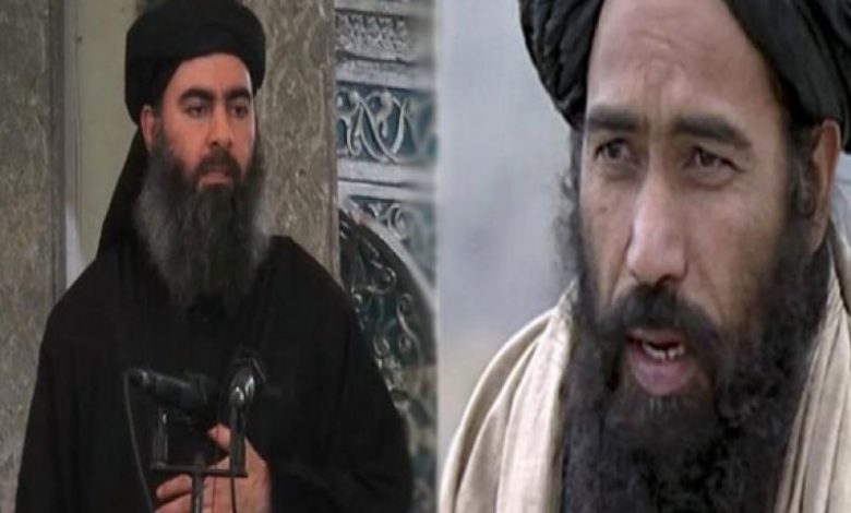 بين ظاهرتي طالبان وداعش : المُشتركْ و العِبرْ